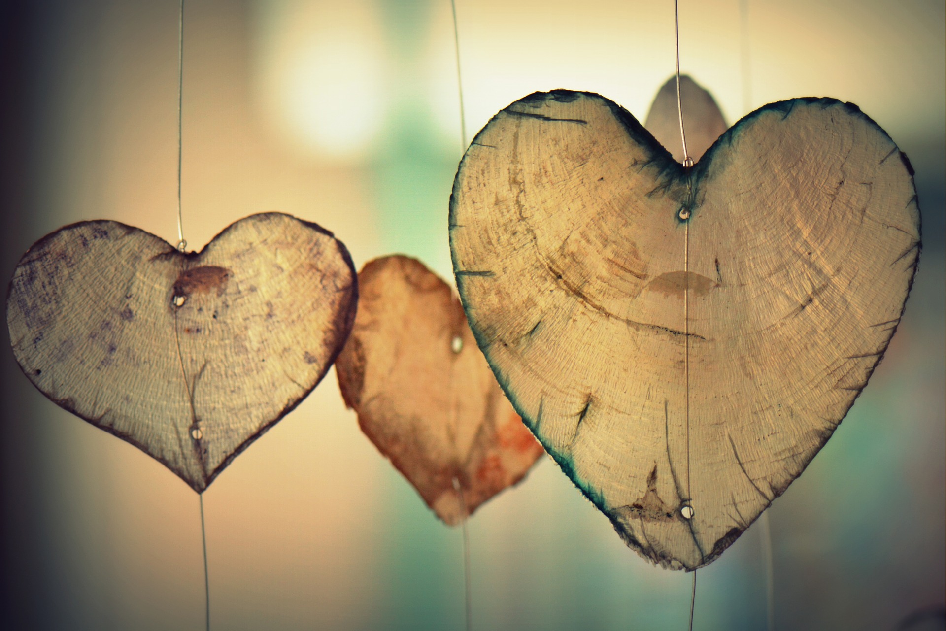Verliebte Sprüche Herzen aus Holz
